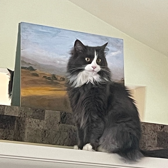 Meet your Posher, Dorothy - Picture 5 of 5